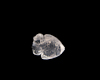 Quartz fish Quartz fish
