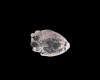 Quartz fish Quartz fish