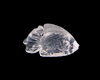 Quartz fish Quartz fish
