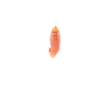 Spessartite garnet fish