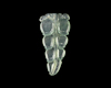 Jadeite (type-A) leaf
