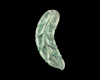 Jadeite (type-A) leaf