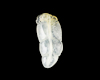 Jadeite (type-A) leaf