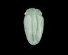 Jadeite (type-A)