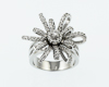 Diamond ring Diamond ring