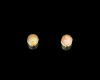 Opal earrings Opal earrings