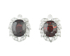 Rhodolite garnet earrings Rhodolite garnet earrings