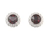 Garnet and diamond earrings Garnet and diamond earrings