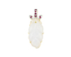 Jadeite (type-A) carving and ruby pendant