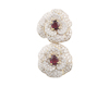 Diamond and ruby pendant Diamond and ruby pendant