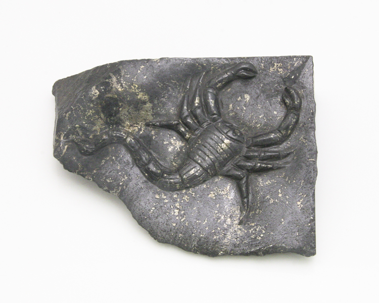 Magnesite scorpion on rock - Click Image to Close