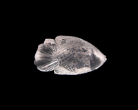 Quartz fish