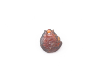 Spessartite garnet fish