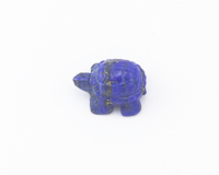 Lapis lazuli tortoise