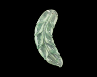 Jadeite (type-A) leaf