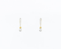 Diamond earrings