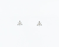 Diamond earrings