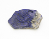 Lapis lazuli scorpion on rock